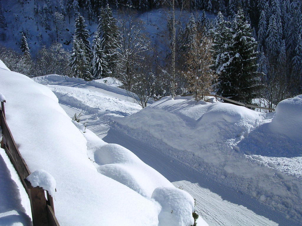 Appartement Oberschernthann Hopfgarten im Brixental Esterno foto